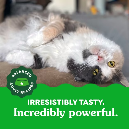 Feline Greenies Catnip Natural Dental Cat Treats