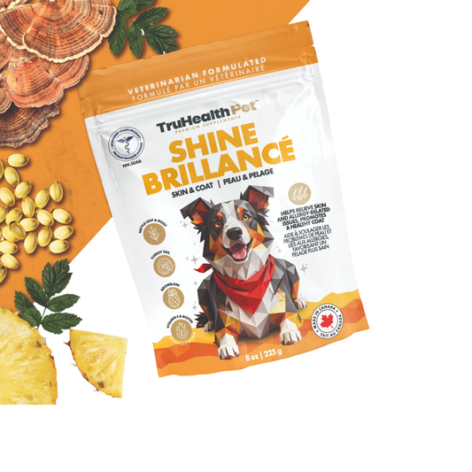 Chews for Dogs