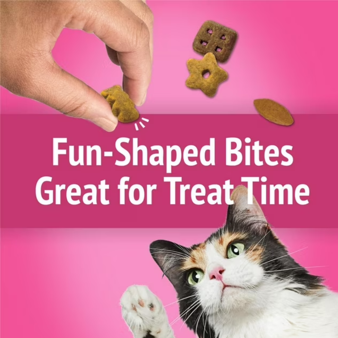 Friskies Party Mix California Dreamin' Crunch