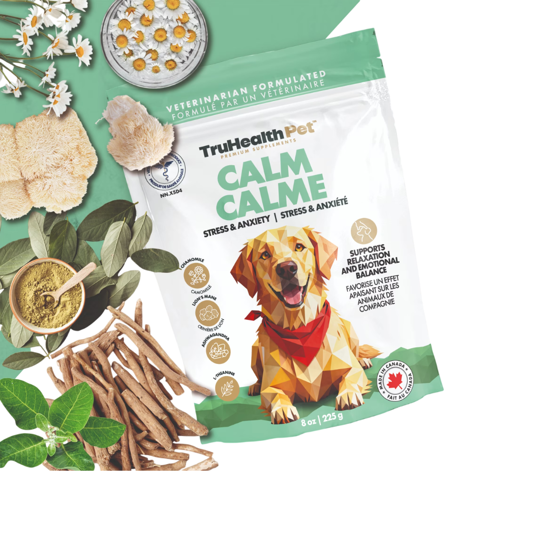 TruHealth Pet Calm Supplement, Stress and Anxiety Relief Soft-Chews for Dogs, 90 Count Bag, 225 grams