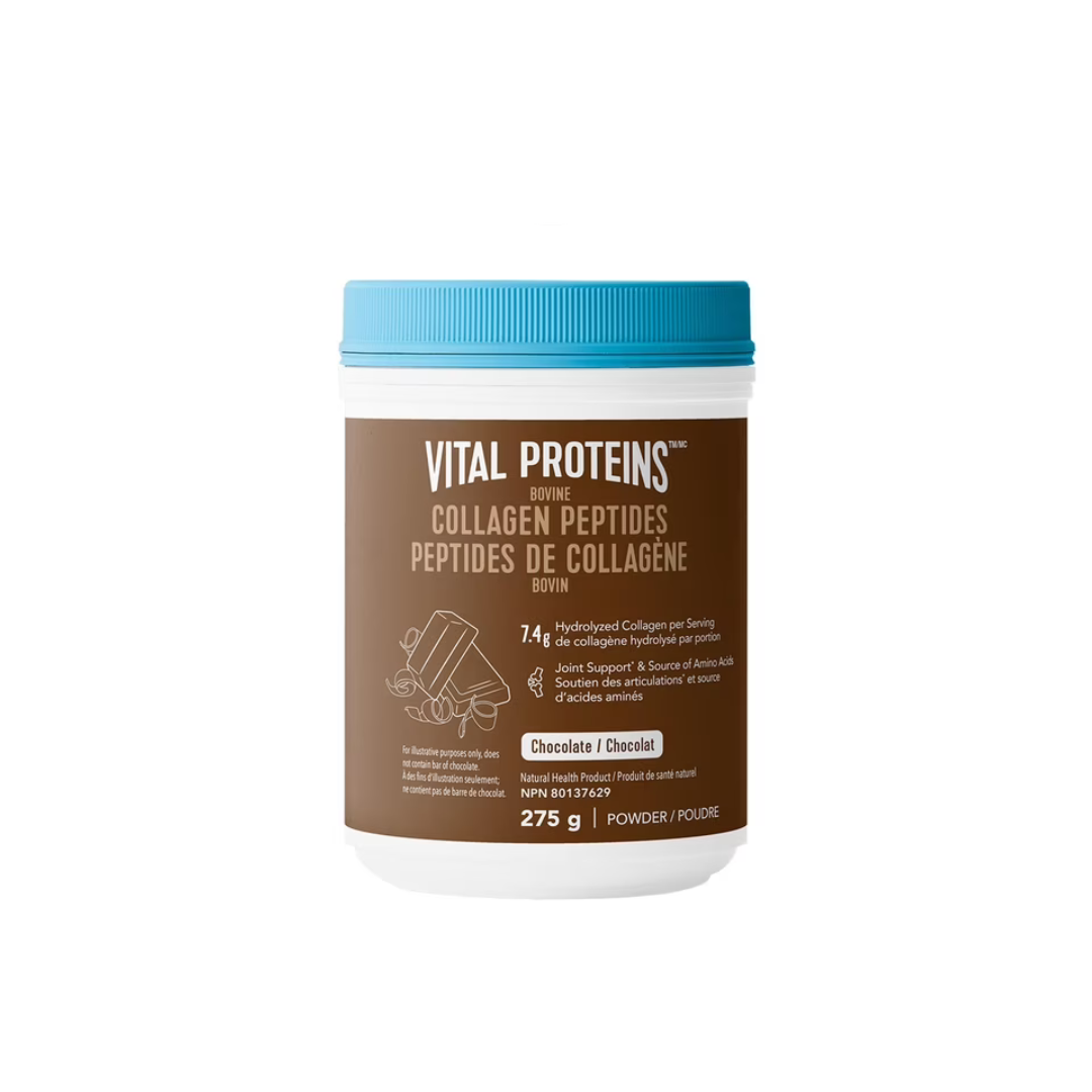 Vital Proteins Chocolate Bovine Collagen Peptides 